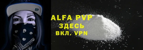 PSILOCYBIN Гусев