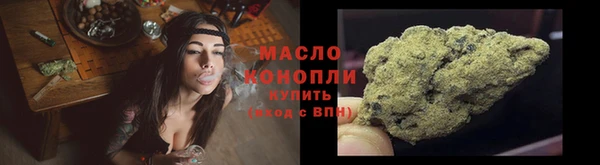 гашик Гусь-Хрустальный