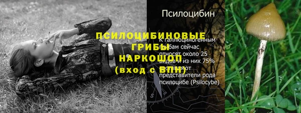 PSILOCYBIN Гусев