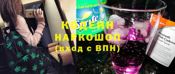 гашик Гусь-Хрустальный