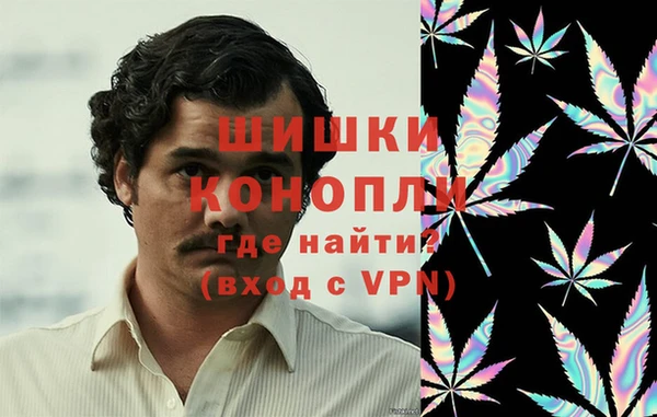 PSILOCYBIN Гусев