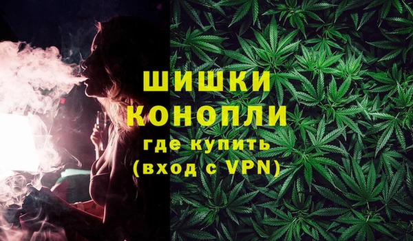 PSILOCYBIN Гусев