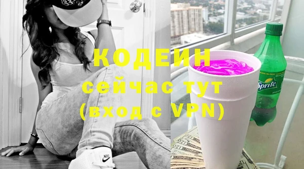 гашик Гусь-Хрустальный