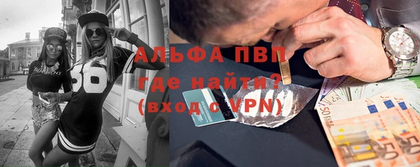 гашик Гусь-Хрустальный