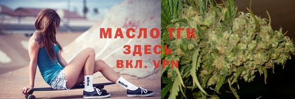 гашик Гусь-Хрустальный