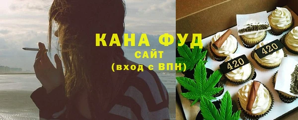 гашик Гусь-Хрустальный
