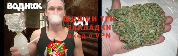 PSILOCYBIN Гусев