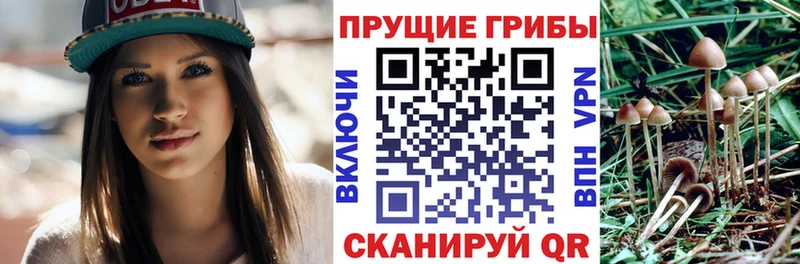 Псилоцибиновые грибы мухоморы  Купить закладки  Микунь 